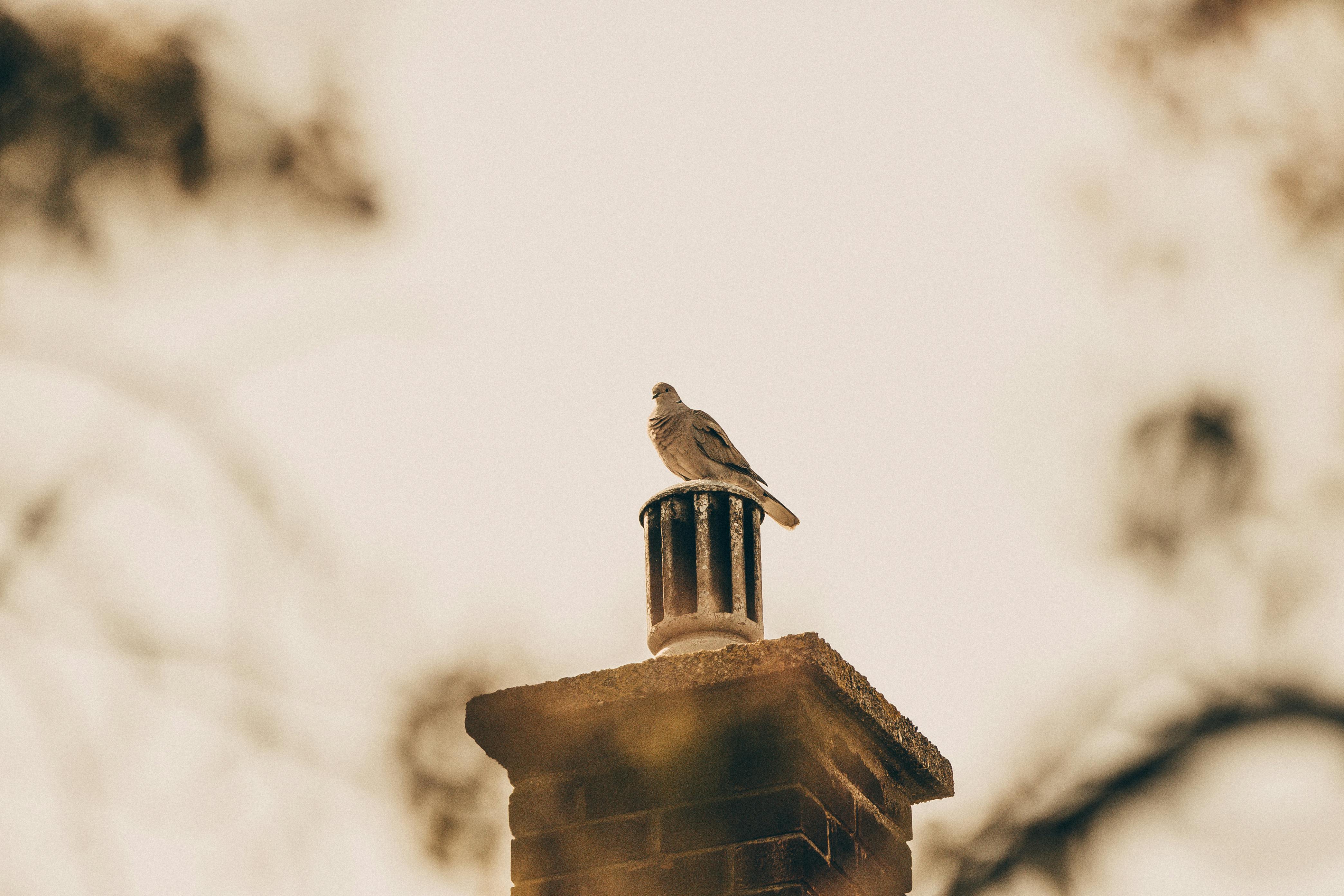 Expert Chimney Cap Installation in Uxbridge, Massachusetts